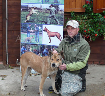 Pardog - cane da guardia e da difesa